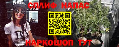 a pvp Нарткала