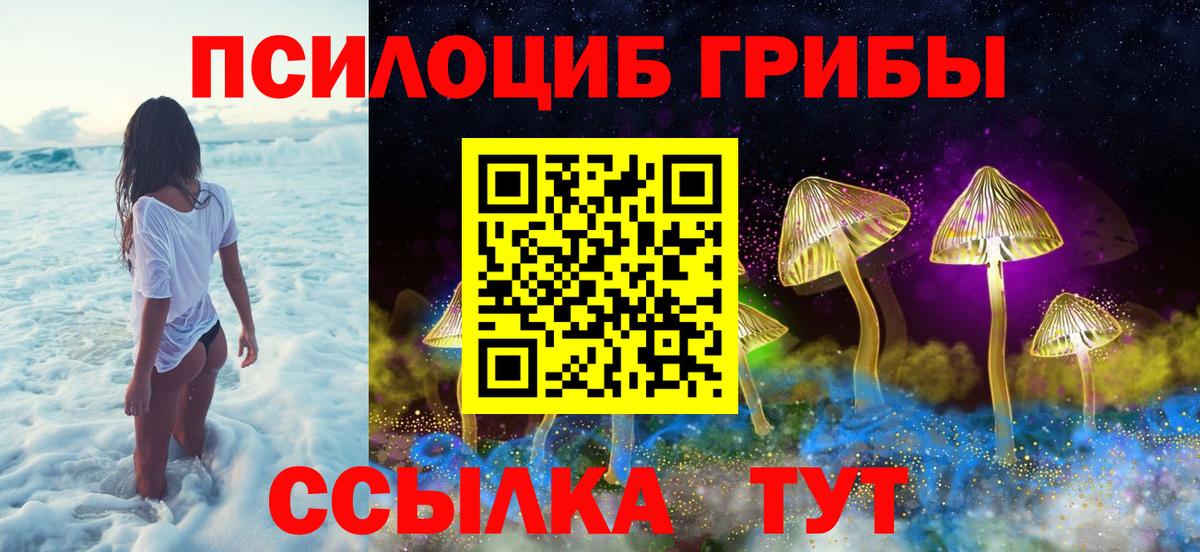 Псилоцибиновые грибы мухоморы Троицк