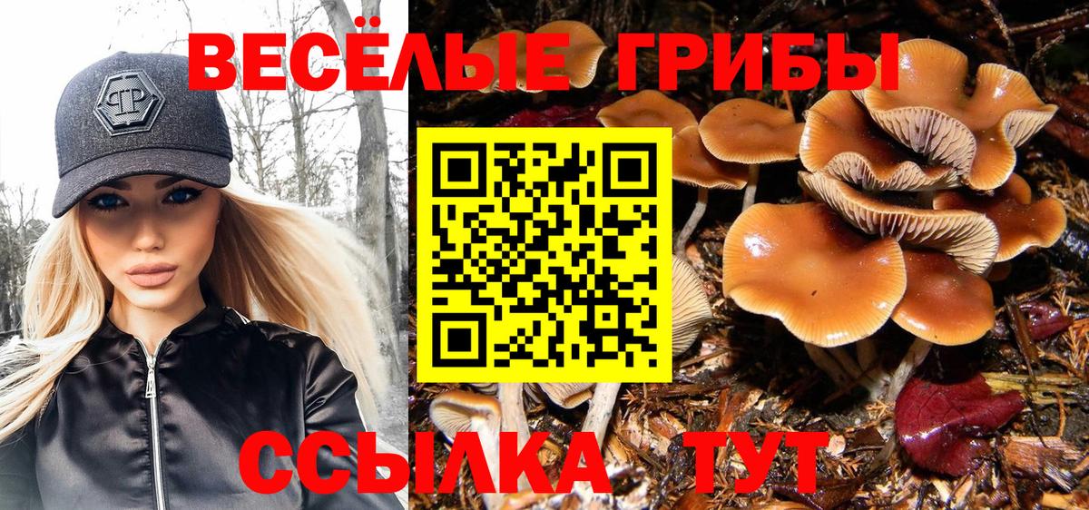 Псилоцибиновые грибы Magic Shrooms  Вход с VPN  магазин    Троицк 